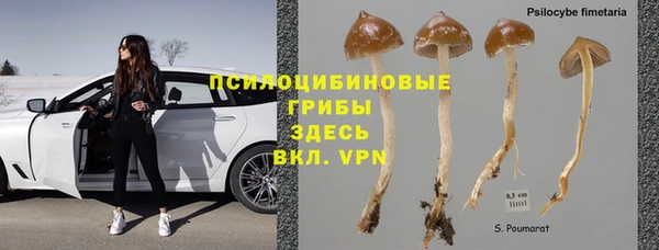 молекула духа Волосово
