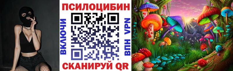 Псилоцибиновые грибы Psilocybe  Ивдель 