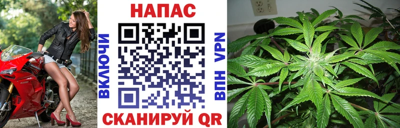 Бошки Шишки THC 21%  где найти наркотики  Ивдель 